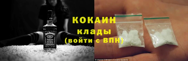 твердый Бородино