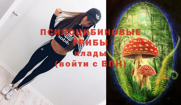 прущие грибы Володарск