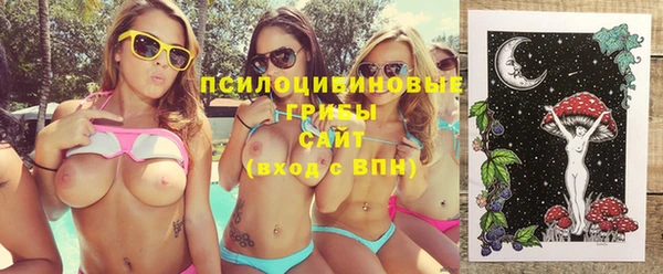 прущие грибы Володарск
