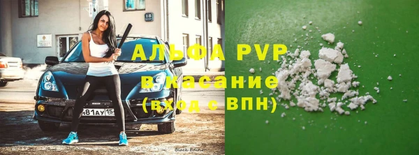 прущие грибы Володарск