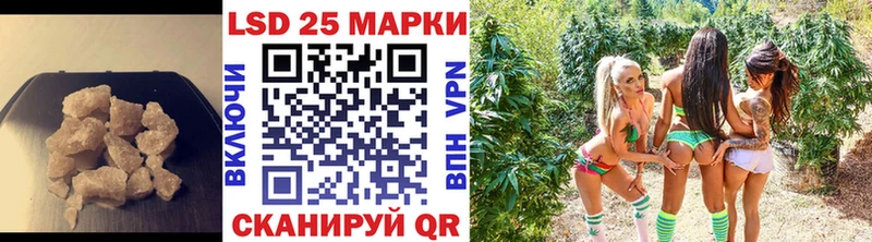 где продают наркотики Кадников ЛСД экстази кислота