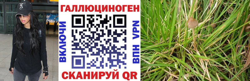 Галлюциногенные грибы MAGIC MUSHROOMS Кадников